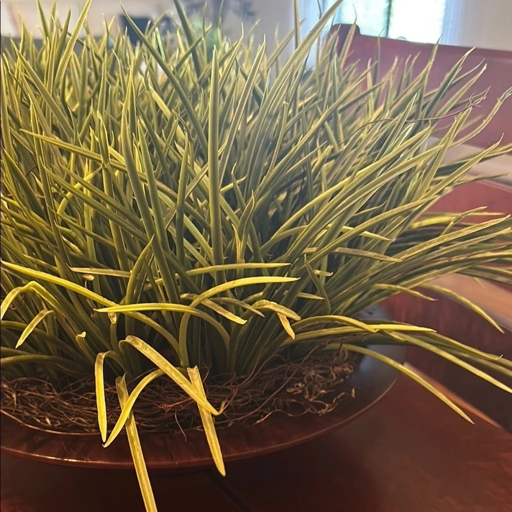 Artificial Green Grass Plant in Decorative Wood Pot from Haverty’s